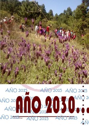 Año 2015 Año 2030