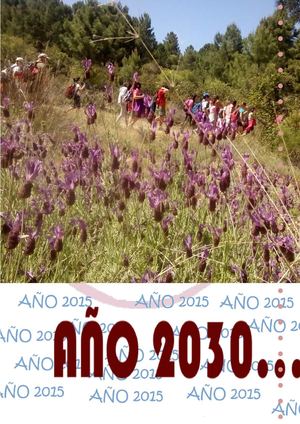 Año 2015 Año 2030 2