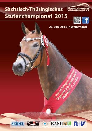 2015 Katalog Sch Inet