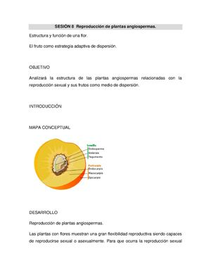 Reproducción en Angiospermas