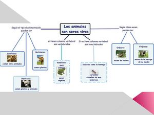 mapa conceptual