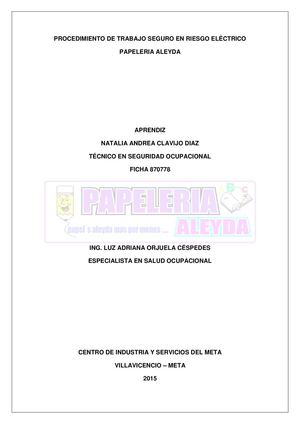 Anexo 32 Procedimiento De Trabajo Seguro En Riesgo Eléctrico