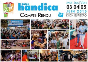 Compte Rendu Visitorat Handica 2015