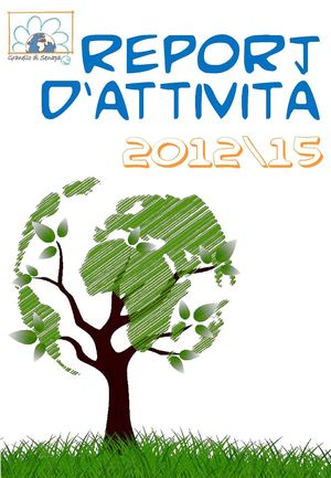 Report D’attività Granello Di Senapa 2012-15