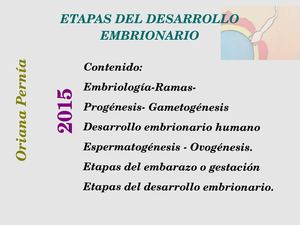 Etapas Del Desarrollo Embrionario