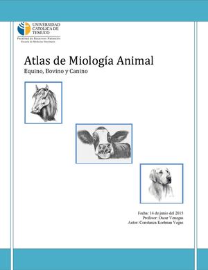 Miología Animal