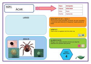Guia De Macroinvertebrats