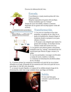 Proceso De Elaboración Del Vino