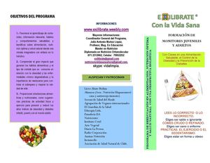 Triptico De Programa De Reeducación Alimentación, Nutrición ÓPtima Y Salud Natural Region Del Maule