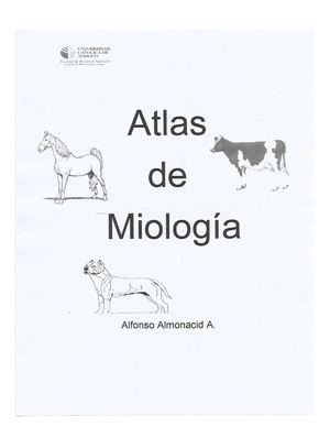 atlas de miologia veterinaria alfonso almonacid