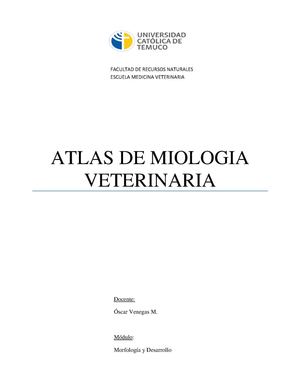 Atlas De Miologia Veterinaria