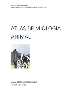 Atlas De Miologia Animal