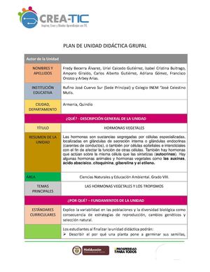 Plantilla Unidad Didáctica Grupal