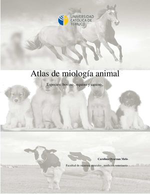 atlas de Miologia animal