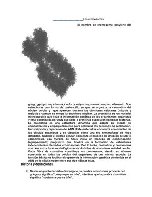 Los Cromosomas (Reparado)