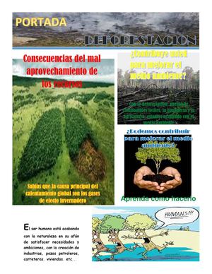 Calameo Portada Y Periodico Deforestación