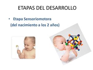 Etapas Del Desarrollo Piaget