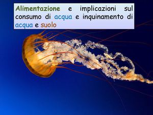Acqua e Scienze
