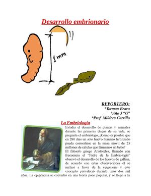 Desarrollo Embrionario