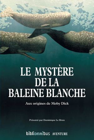 Le Mystère de la baleine blanche