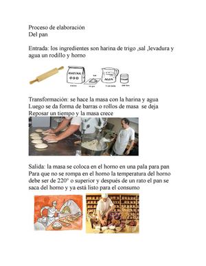 Proceso De Elaboración del pan