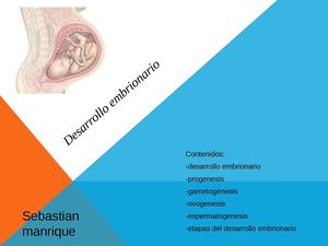 Desarrollo Embrionario