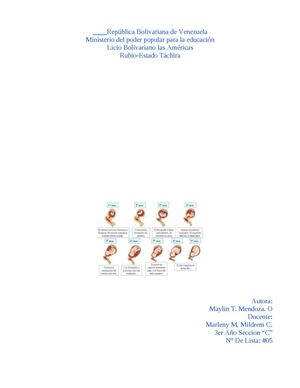 Desarrollo Embrionario