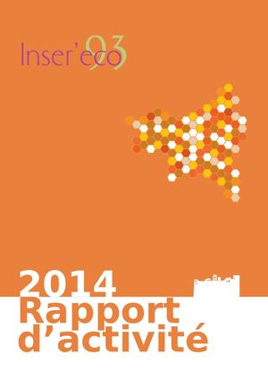 Rapport Activite 2014 Inser'Éco93