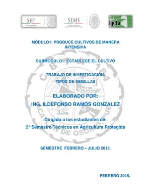 Libro Digital Tipos De Semillas