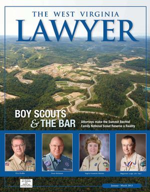 Issue 17: January - March 2013