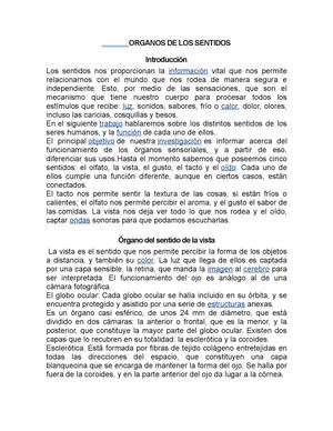 Organos De Los Sentidos