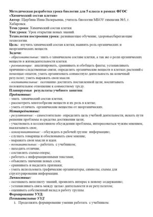 открытый урок ФГОС