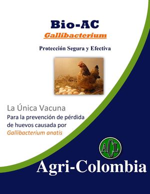 Bio-AC Gallibacterium