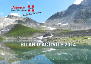 BILAN D'ACTIVITE 2014
