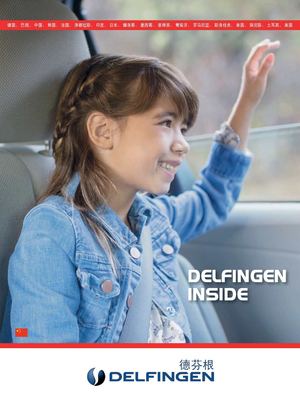 DELFINGEN_brochure_corporate_CN