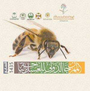 تقرير المهرجان السابع مع الملف الصحفي للجوال