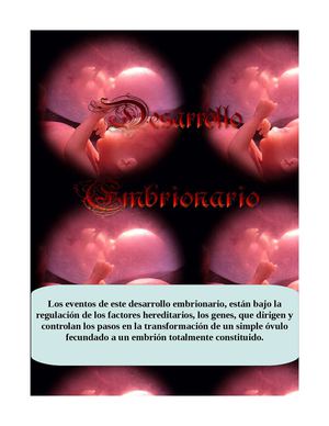Revista: Desarrollo Embrionario.