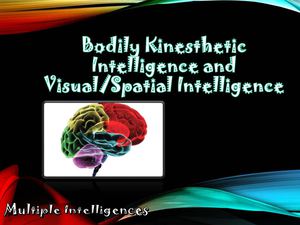 Bodily Kinesthetic Intelligence And Visual Spatial Intelligence