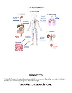 Nutrición Humana