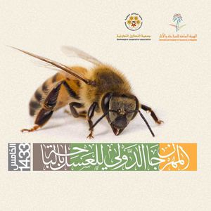 المهرجان الخامس