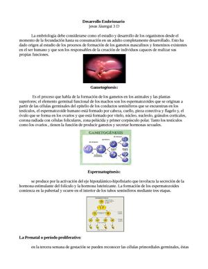Desarrollo Embrionario 122