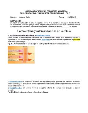 Trabajo De Ciencias Susy C