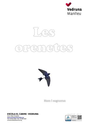 R C2 03 22c Dossier Projecte Orenetes 3r B