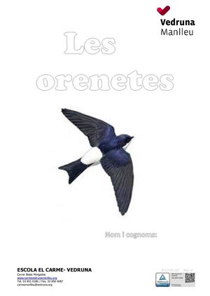 R C2 03 22c Projecte Orenetes 3r C