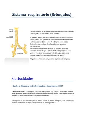 Brônquios  5c