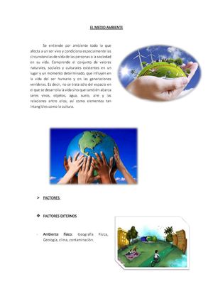 El Medio Ambiente Pdf