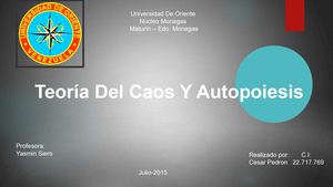 Revista Teoria de Sistema