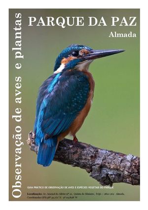 Guia Percurso Orientado