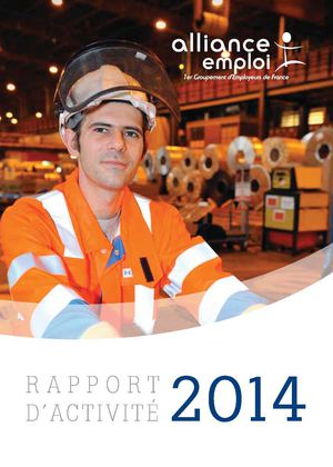 Rapport d'Activité Alliance Emploi 2014-2015