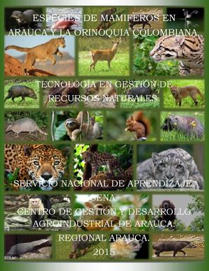 Especies De Mamiferos De Arauca Y La Orinoquia Colombiana